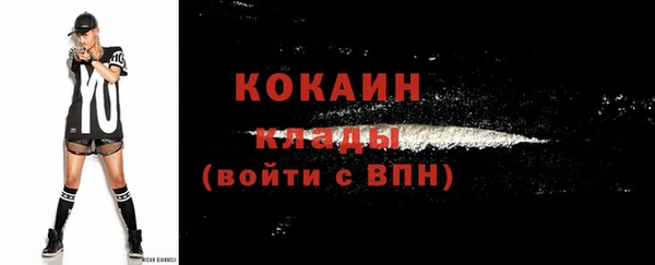 дживик Алзамай