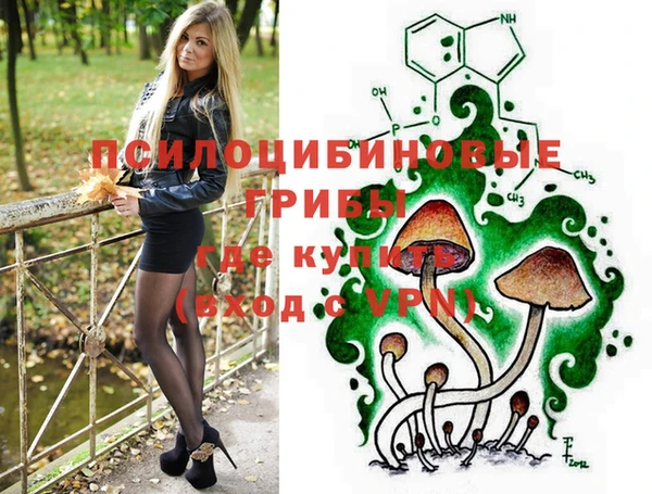 дживик Алзамай