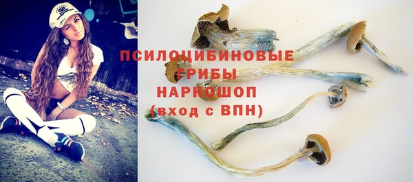 a pvp Алексин