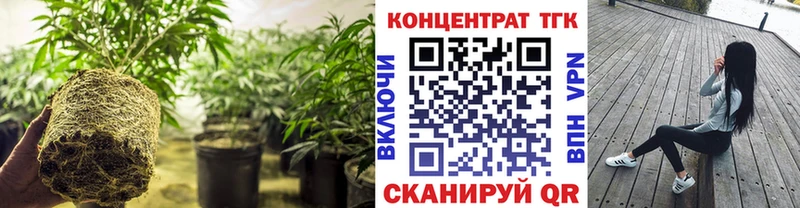 ссылка на мегу вход  площадка наркотические препараты  Дистиллят ТГК THC oil  Ахтубинск 