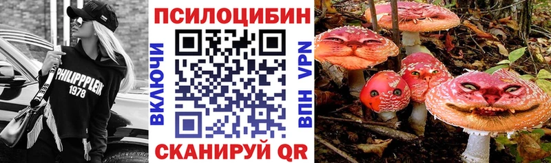 KRAKEN как зайти закладки Ахтубинск Галлюциногенные грибы Magic Shrooms